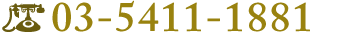 TEL:03-5411-1881