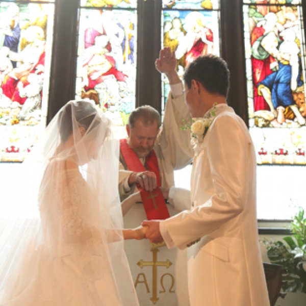 ビブリヨプラン