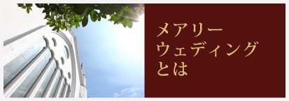 メアリーウェディングとは
