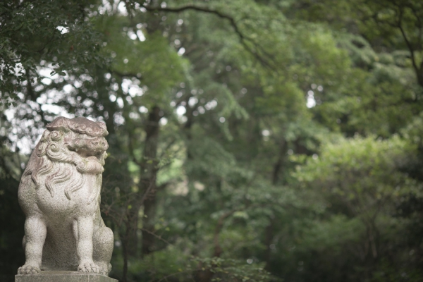 おふたりが過ごした町 神社での結婚式