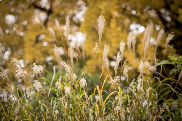 お子様も一緒の結婚式