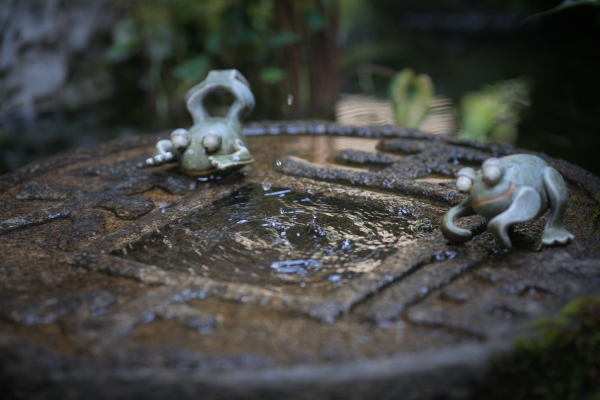 親族と親しい人を招いた祝言