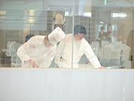 コント・ドゥ・フェ