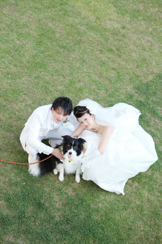 椎名・伊藤　御両家様