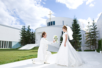 フォトギャラリー